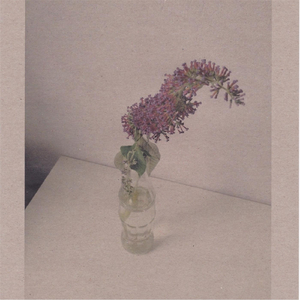 波多野结衣交伟电影
